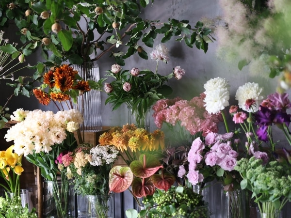 ����ȥ��̿�